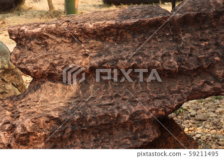 Stromatolite stone background texture. 59211495