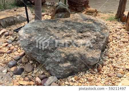 Oncolites Stone , oncolites are sedimentary Oncolites Stone , oncolites are sedimentary 59211497