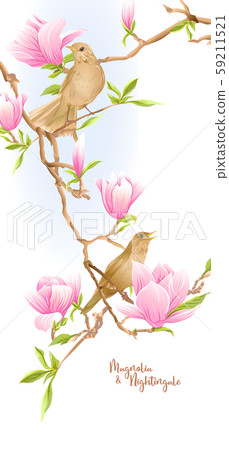 Magnolia tree branch with flowers and nightingale Magnolia tree branch with flowers and nightingale 59211521