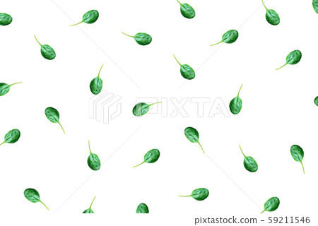 The pattern of spinach leaves on a white background 59211546
