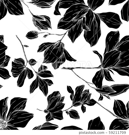 Vector Magnolia floral botanical flowers. Black and white engraved ink art. Seamless background Vector Magnolia floral botanical flowers. Black and white engraved ink art. Seamless background 59211709