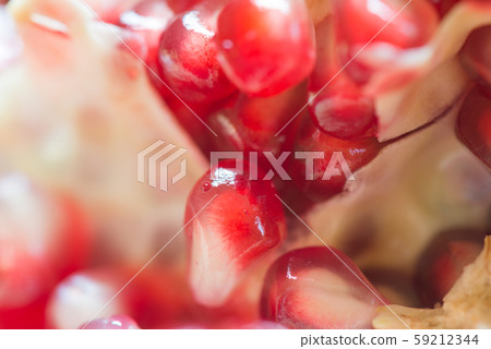 Macro shooting of pomegranate grains 59212344