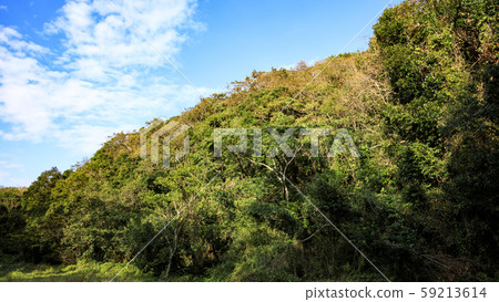 濕地(秋天) 濕地(秋天) 59213614