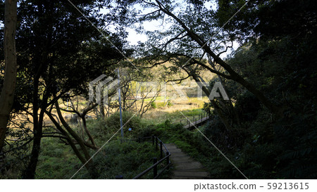 濕地（秋天） 59213615