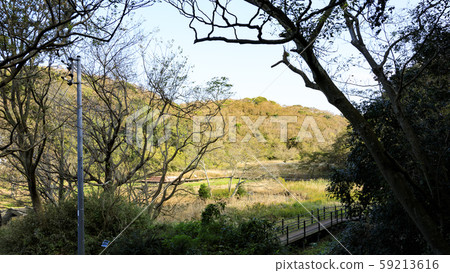 濕地（秋天） 59213616