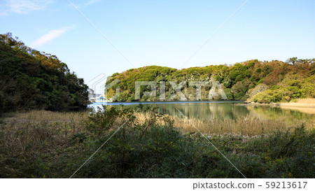 濕地（秋天） 59213617