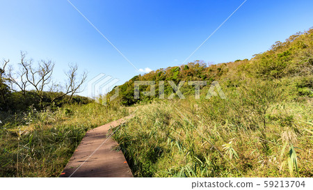 Wetlands (Autumn) Wetlands (Autumn) 59213704