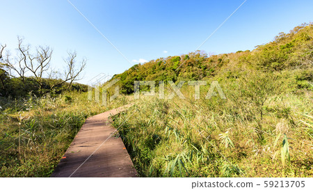 Wetlands (Autumn) 59213705