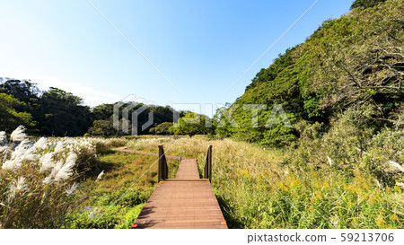 Wetlands (Autumn) Wetlands (Autumn) 59213706