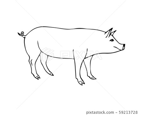 Vector hand drawn doodle sketch pig 59213728