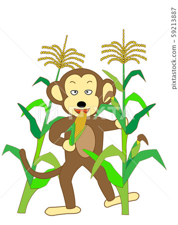 A monkey eating a crop 59213887