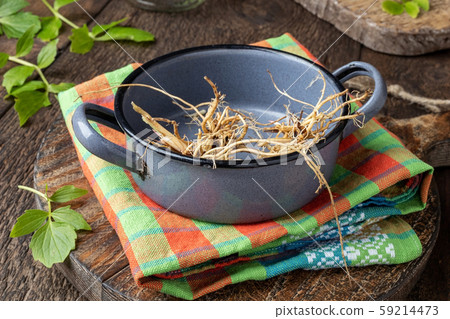 Valerian roots in a pot with fresh valerian leaves Valerian roots in a pot with fresh valerian leaves 59214473
