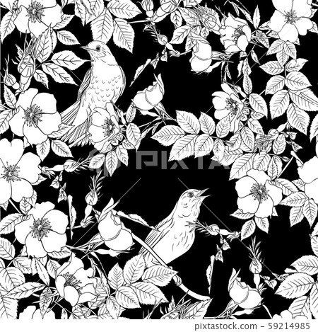 Dog-rose, briar, brier, eglantine, canker-rose.  59214985