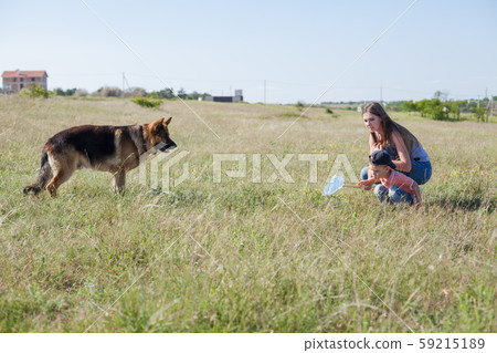 Beautiful woman plays with german Shepherd dog on walk Beautiful woman plays with german Shepherd dog on walk 59215189