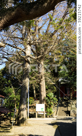 Shirasagi Shrine (Miura Shichifukujin) 59215742