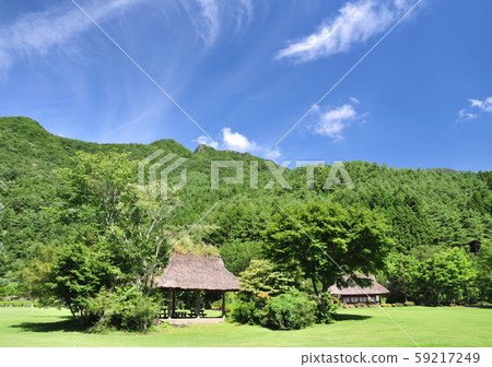 西湖野生鳥類公園-17372 西湖野生鳥類公園-17372 59217249