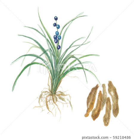 Janohige和Root Bakumondou 59218486