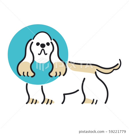 Dog pose facial expression 1 Elizabeth American Cocker Spaniel 59221779