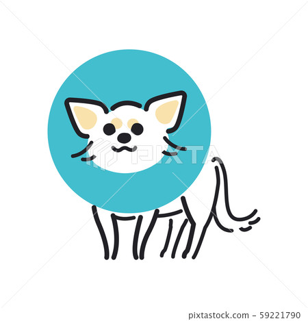 Dog pose facial expression 1 Elizabeth Chihuahua 59221790