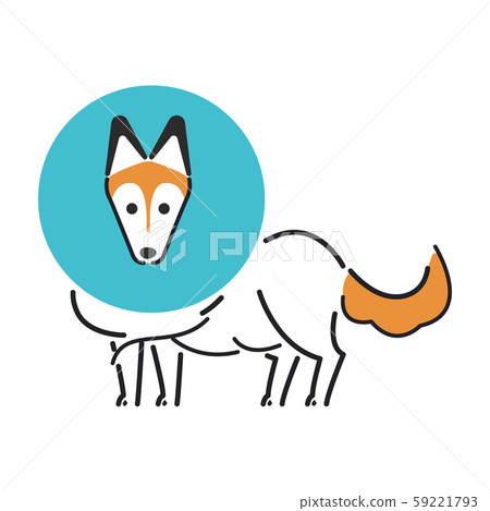 狗姿勢的面部表情1伊麗莎白·設得蘭群島牧羊犬 59221793