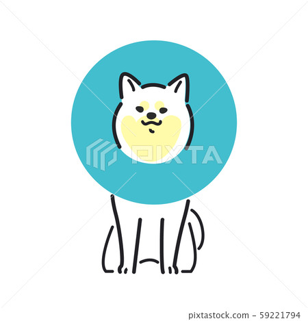 Dog pose facial expression 1 Elizabeth Shiba Inu 59221794