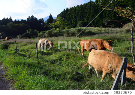 Scenery of Aso 59223670