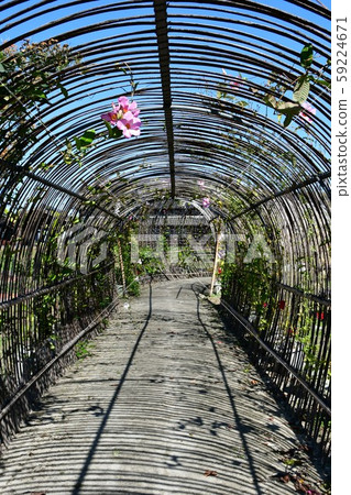 Plum Hall Sahuri Bairin 59224671