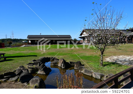 Plum Hall Sahuri Bairin 59224701