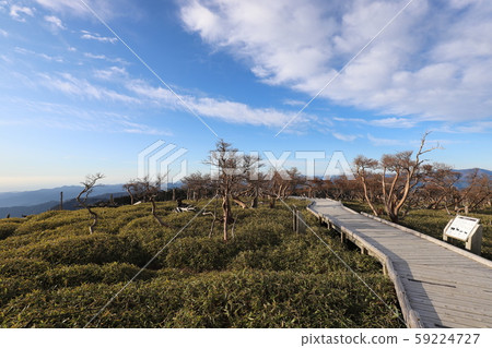 Otagichihara的秋天 59224727