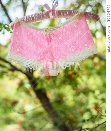 Pink lingerie hanging on hanger Pink lingerie hanging on hanger 59224743