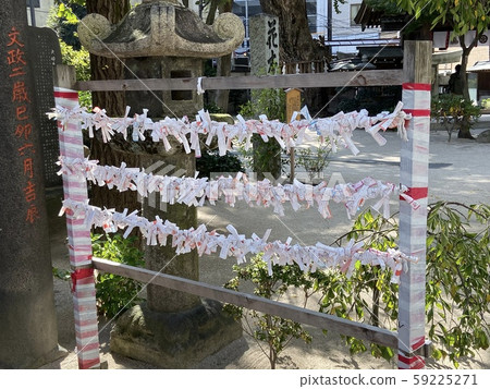 Omikuji 59225271