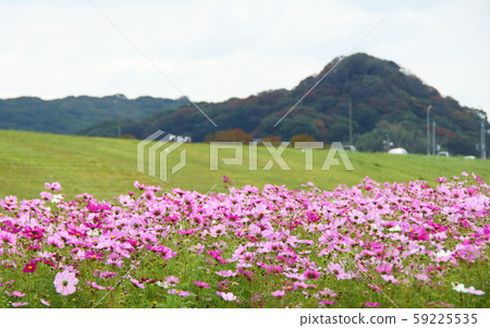 昂加河上的波斯地毯 昂加河上的波斯地毯 59225535