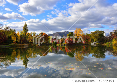 Nakajima Park of autumn leaves Nakajima Park of autumn leaves 59226394