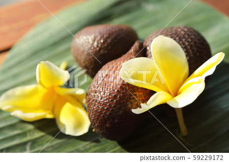 Frangipani and Salak 59229172