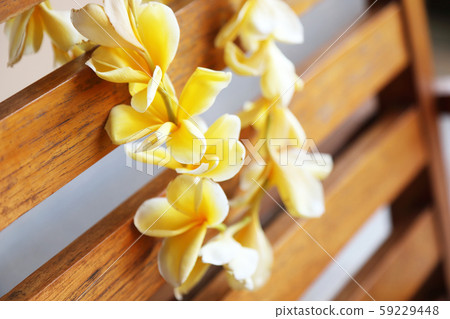 素馨花雷 素馨花雷 59229448