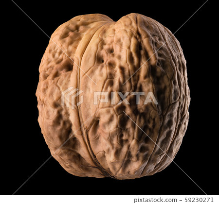Macro photo of whole walnut isolated on a black background Macro photo of whole walnut isolated on a black background 59230271