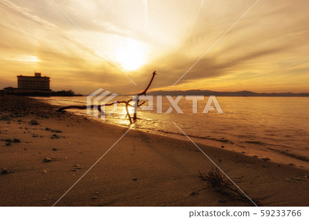 Lake Biwa beach sunset and driftwood silhouette Lake Biwa beach sunset and driftwood silhouette 59233766