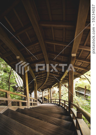 Elephant's Wolongongong Street 59234087