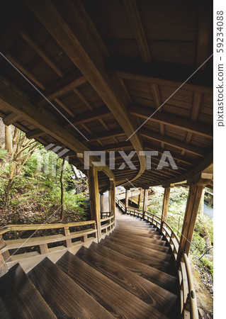 Elephant's Wolongongong Street 59234088