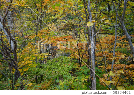 Hayasaka Fall Hayasaka Fall 59234401