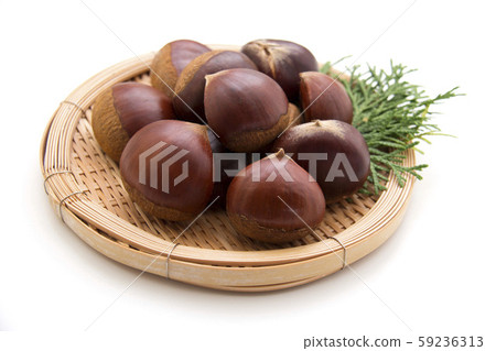 栗子 栗子 59236313