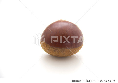 Chestnut Chestnut 59236316