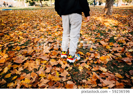 One child stands on fallen orange and red maple leaves in the park 59236596