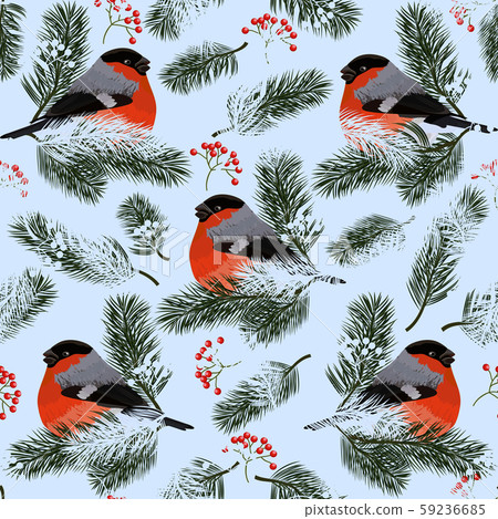 Seamless pattern with bullfinches, rowan berries and fir branches. Vector illustration on blue 59236685