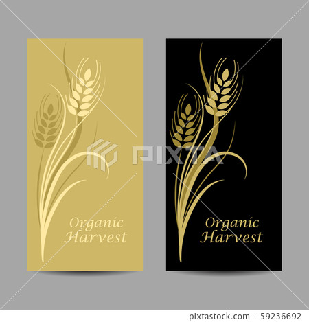 Set of vertical banners. Wheat spikelet on yellow and black background 59236692