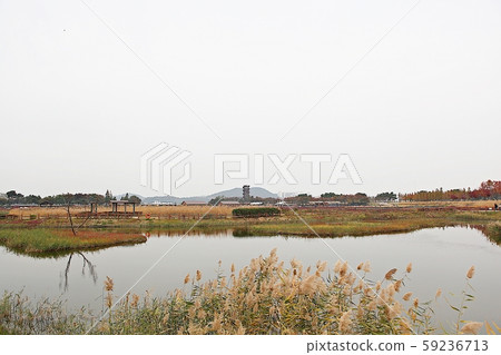 Siheung Tidal Flat Ecological Park Siheung Tidal Flat Ecological Park 59236713