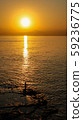 日落和海岸 59236775