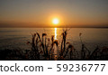 日落和沖洗 59236777