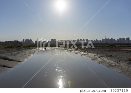 京畿道始興市始興潮汐生態園 京畿道始興市始興潮汐生態園 59237119