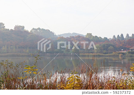 湖 湖 59237372